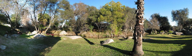 Picnic Area