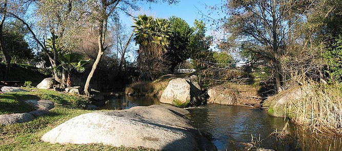 Picnic Area